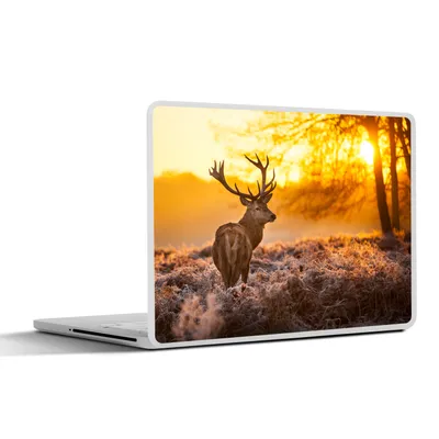 Produktbild von MuchoWow® Laptop Aufkleber Sticker Cover Hirsche - Tiere - Sonnenuntergang - Winter - Heidekraut - Natur 30x22 cm - Laptop-Sticker
