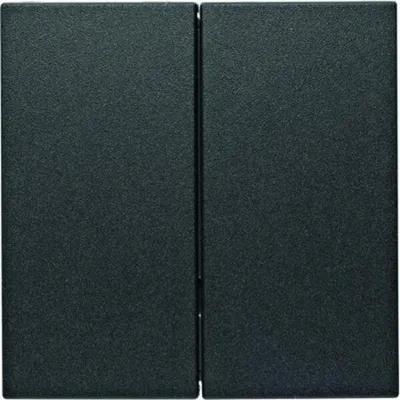 Obrázok produktu pre Berker 85142185, Antracit, Termoplastik, Berker, S.1/B.3/B.7, -5 - 45 °C, 1 kusov