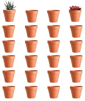 Immagine prodotto di 24 vasi in terracotta di 3x3,5 cm, ideali per piante grasse e cactus, con foro di drenaggio
