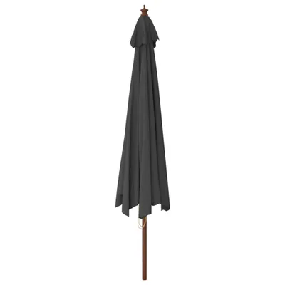 A closed umbrella with a wooden pole against a white background.