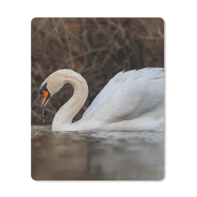 Produktbild von MuchoWow® Mauspad Mousepad Schwan - Wasser - Tiere - Vogel 19x23 cm - Mousepads - Maus Mat - Pad - Mausunterlage - Mauspads - Spielen