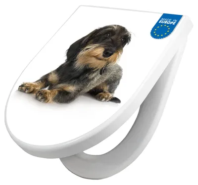 Produktbild von WC Sitz mit Absenkautomatik D Form Motiv Dackel [TDW3 10150]