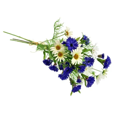 Produktbild von Wiese Gänseblümchen weiß 70 cm