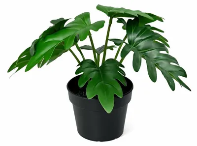 Produktbild von Künstlicher Philodendron Xanadu 20cm Kunstpflanze grün für Wohnzimmer Büro
