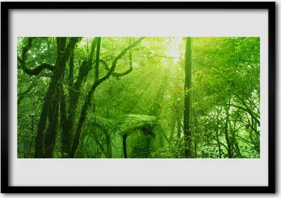 Produktbild von Bild 100x70 MDF-Rahmen Wandkunst Bäume Natur