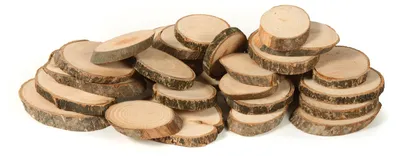 Produktbild von EDUPLAY 200159 Naturholzscheiben oval 30er Set, natur