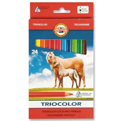 Immagine prodotto di KOH-I-NOOR Matite colorate triangolari 3144 Triocolor 24 pezzi