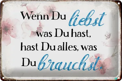 Produktbild von Blechschild Spruch 30x20cm wenn du liebst was du hast