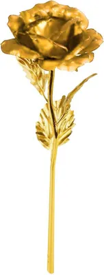 Produktbild von Eternity Rose - Gold mit Goldstiel