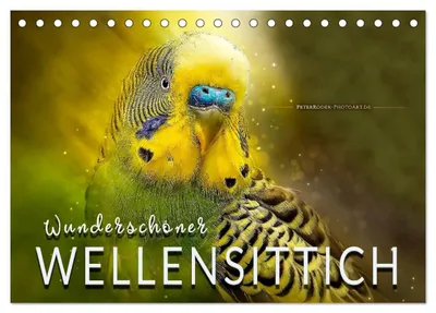 Produktbild von Wunderschöner Wellensittich (Tischkalender 2027 DIN A5 quer), CALVENDO Monatskalender
