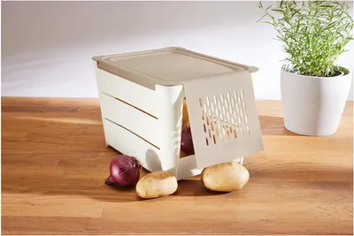 Produktbild von ERNESTO® Gemüse-Aufbewahrungsbox