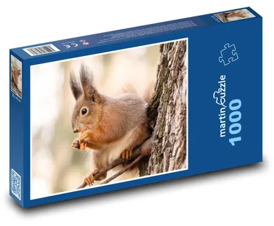 Obrázok produktu pre Puzzle 1000 Veverička na Strome v Lesnom Kráľovstve - martinpuzzle