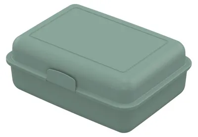 Image de Boîte à déjeuner 'Pause-Box' en bioplastique - boîte à pain robuste avec fermeture à clic pour enfants et adultes - menthe