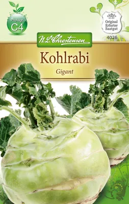 Produktbild von Kohlrabi Gigant | Kohlrabisamen von N.L. Chrestensen