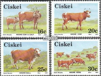 Produktbild von Briefmarken Südafrika - Ciskei 1987 Mi 115-118 (kompl.Ausg.) FDC Nkone-Rinderzucht