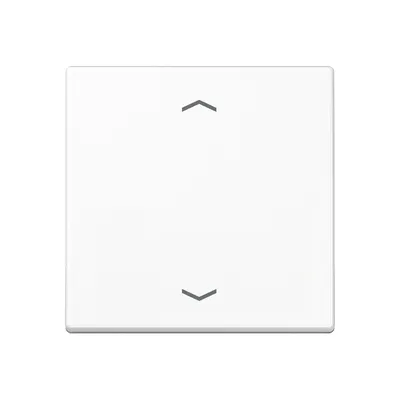 Produktbild von Jung Wippe Symbole aws A 590 P WW A590PWW