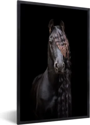 Produktbild von MuchoWow® MuchoWow® Gerahmtes Poster Pferde - Friesisch - Mähne - Schwarz - Tiere 60x90 cm - Poster mit zchwarzem Bilderrahmen - Kunst