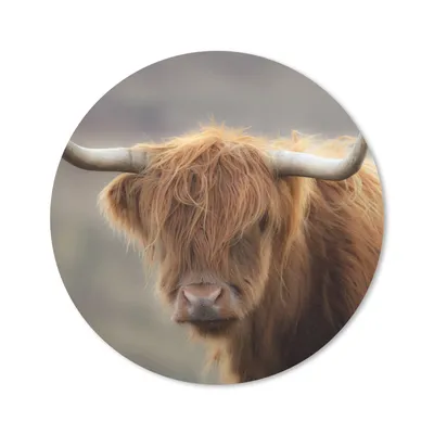 Produktbild von MuchoWow® Mauspad Mousepad Schottischer Highlander - Licht - Porträt 50x50 cm - Mousepads - Maus Mat - Pad - Mausunterlage - Vinyl