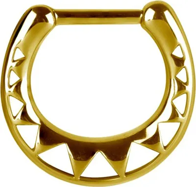 Produktbild von Karisma Edelstahl 316L Hinged Ring Piercing Ohrring Tribal - 1,2x8mm - Gold