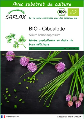 Image de SAFLAX  -- Ciboulette - 250 graines - Avec substrat - Allium