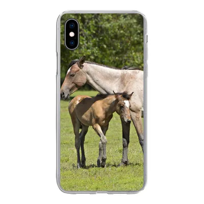 Produktbild von MuchoWow® Handyhülle Schutzhülle Hülle für iPhone Xs Pferde - Gras - Schatten Silikon Softcase Handy Hülle - Handytasche