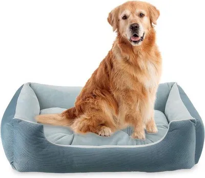 Image de Lit pour chien antidérapant bleu 90 x 70 cm, lavable