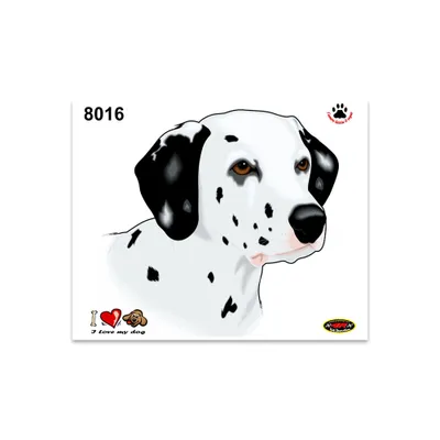 Image de Autocollant Dalmatien 14 x 16 cm