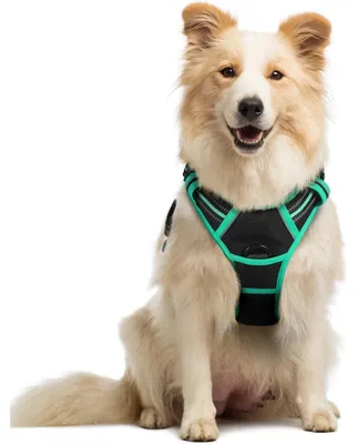 Image de Harnais anti-traction pour chien, avec contrôle, anti-traction, réglable, respirant, avec bandes réfléchissantes, noir et vert, taille M