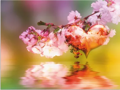 Produktbild von ARTland Wandbild Alu für Innen & Outdoor Frühlingsherz Größe: 60x45 cm