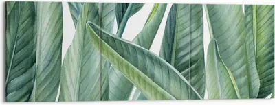 Produktbild von Bild auf Leinwand - Leinwandbild - 3 Teile - Exotisch Blätter Grün - 150x50cm - Wand Bild - Wanddeko - Wandbilder - Leinwanddruck - Bilder - Wanddekoration - Leinwand bilder - Wandbild - CA150x50-4258