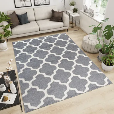 Produktbild von Teppich Wohnzimmer Schlafzimmer Kurzflor Modern Design Geometrisch Marokkanisch Gitter Grau Creme  60 x 100 cm