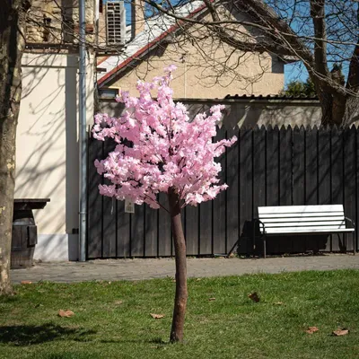Obrázek produktu pro DECOLED Sakura, 150 x 100 cm, růžová