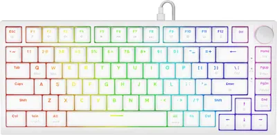 Produktbild von Savio ASTRAL WHITE JADE Tastatur Gaming USB QWERTY US International Weiß