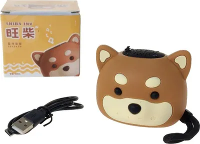 Obrázok produktu pre Głośnik Bluetooth z kablem USB pudełko