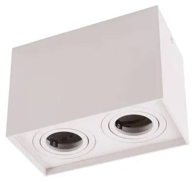 Obrázok produktu pre Povrchová pohyblivá bodová biela dvojitá 2xGU10 35W Ecolight EC79967