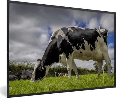Produktbild von MuchoWow® MuchoWow® Gerahmtes Poster Kuh - Gras - Schwanz - Tiere 60x40 cm - Poster mit zchwarzem Bilderrahmen - Printing - Wanddeko Schlafzimmer