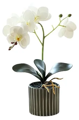 Productafbeelding van Kunstorchidee in pot - Decoratieve plant - Woonkamer aankleden - Realistisch uiterlijk - 306 cm - Wit