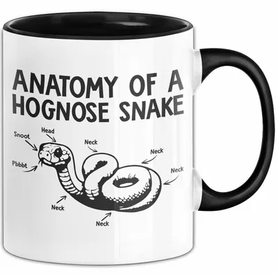 Produktbild von Reptil Schlange Tier Tasse Geschenk Lustige Geschenkidee Spruch Anatomie Einer Hakennasennatter (Schwarz)