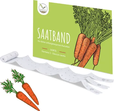 Image de 5 m de ruban de semences de carottes (Nantaise 2 - Daucus carota) - Carottes juteuses et croquantes, idéales pour la culture au jardin, en jardinière ou en potager