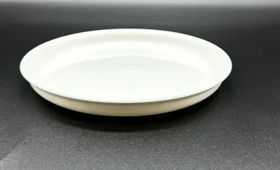Produktbild von Teller Ø 18 cm weiß Camping, Picknick, Outdoor - 100% recycelbar