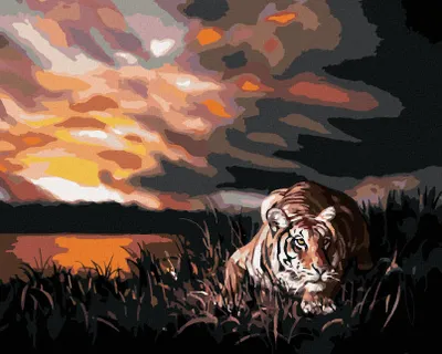 Produktbild von Zuty - Malen nach Zahlen - LAUERNDER TIGER UND SONNENUNTERGANG (D. RUSTY RUST), 40x50 cm, mit Keilrahmen (bereits gespannt)