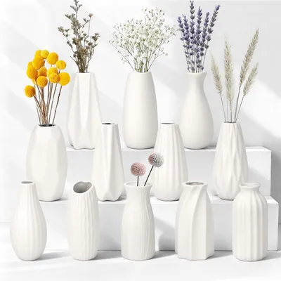 Image de Lot de 12 petites vases en céramique blanche pour fleurs séchées
