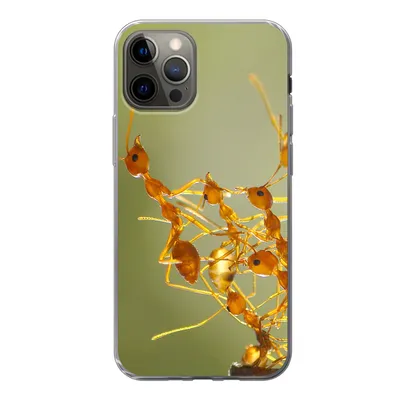 Produktbild von MuchoWow® Handyhülle Schutzhülle Hülle für iPhone 13 Pro Ameisen - Orange - Tiere Silikon Softcase Handy Hülle - Handy-Tasche