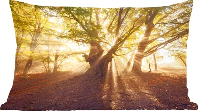Produktbild von MuchoWow® Zierkissen Sofakissen Wohnzimmer Dekokissen 60x40 cm Baum - Wald - Sonne - Kopfkissen - Polster mit Foto