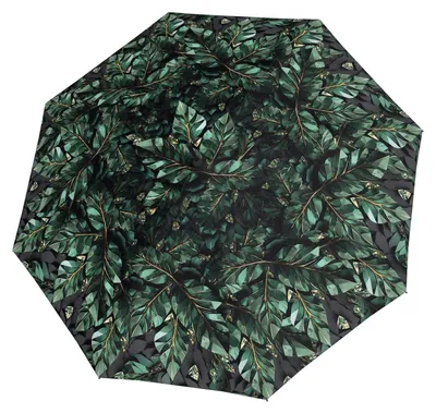 Image de doppler parapluie canne parapluie Fiber Flex Long AC Imperial Crystal Leaves vert