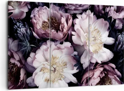 Produktbild von Bild auf Leinwand - Leinwandbild - 3 Teile - Pfingstrosen Veilchen Blumen - 105x70cm - Wand Bild - Wanddeko - Wandbilder - Leinwanddruck - Bilder - Wanddekoration - Leinwand bilder - CE105x70-5076