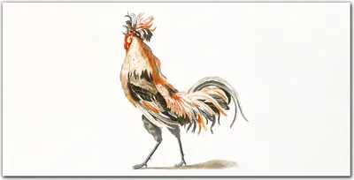 Produktbild von Coloray - Bild aus Glas - 120x60 cm - Küche wanddekoration Dekoration wohnzimmer gehärtetes Glas glasblock mit bild - Tier Vogel Huhn