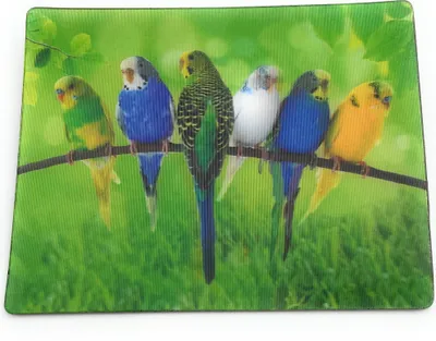Zdjęcie produktu dla Onwomania papużki nierozłączki 9x7cm 3D magnes magnetyczny na lodówkę magnes magnetyczny na notebooka wielokolorowy