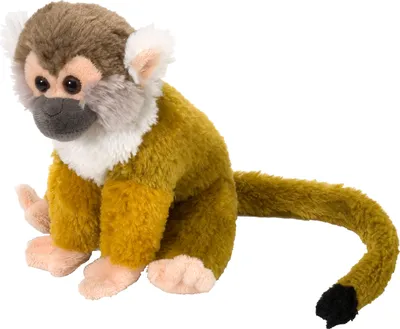 Produktbild von Wild Republic 11912 Plüsch Totenkopfäffchen Cuddlekins Kuscheltier, Plüschtier, 20cm