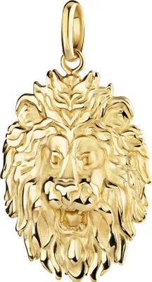 Produktbild von Anhänger Löwe Gold 333 Ketten-Anhänger Sternzeichen Gold
